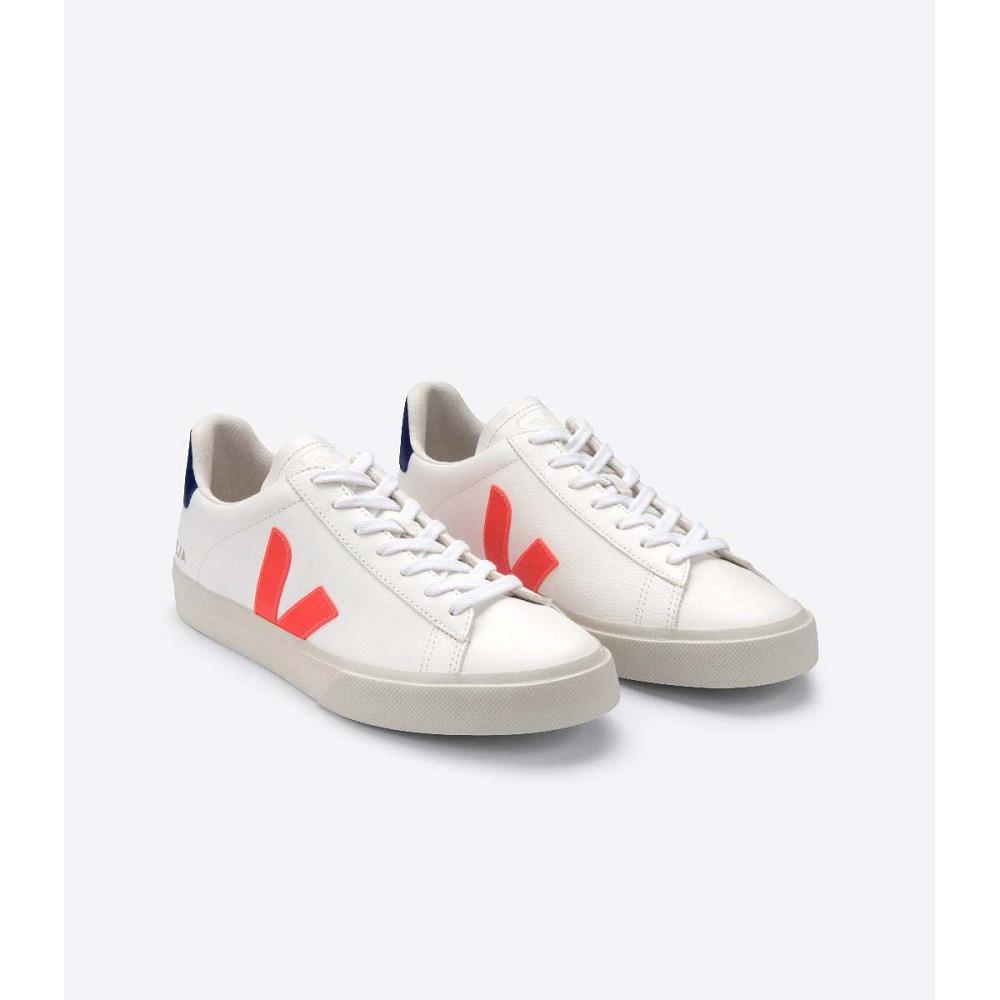 White/Orange/Blue Women's Veja CAMPO CHROMEFREE Low Tops Sneakers | AU 601PJJ